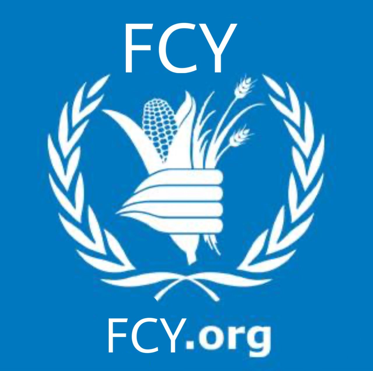 شعار منظمة FCY
